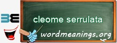 WordMeaning blackboard for cleome serrulata